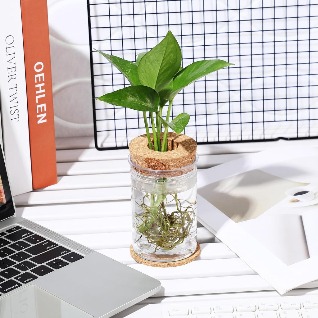24 Packs Plastic Desktop Plant Terrariums Propagation Planter Tabletop Planting Vase with Lid and Cork Plant Coasters