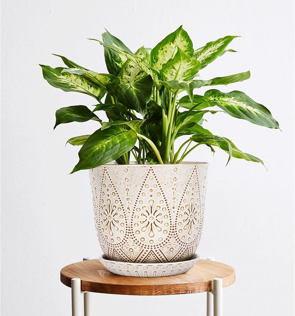 Gepege 8 Inch White Ceramic Plant Pot with Drainage & Saucer | Large ceramic plant pot with drainage hole, ceramic