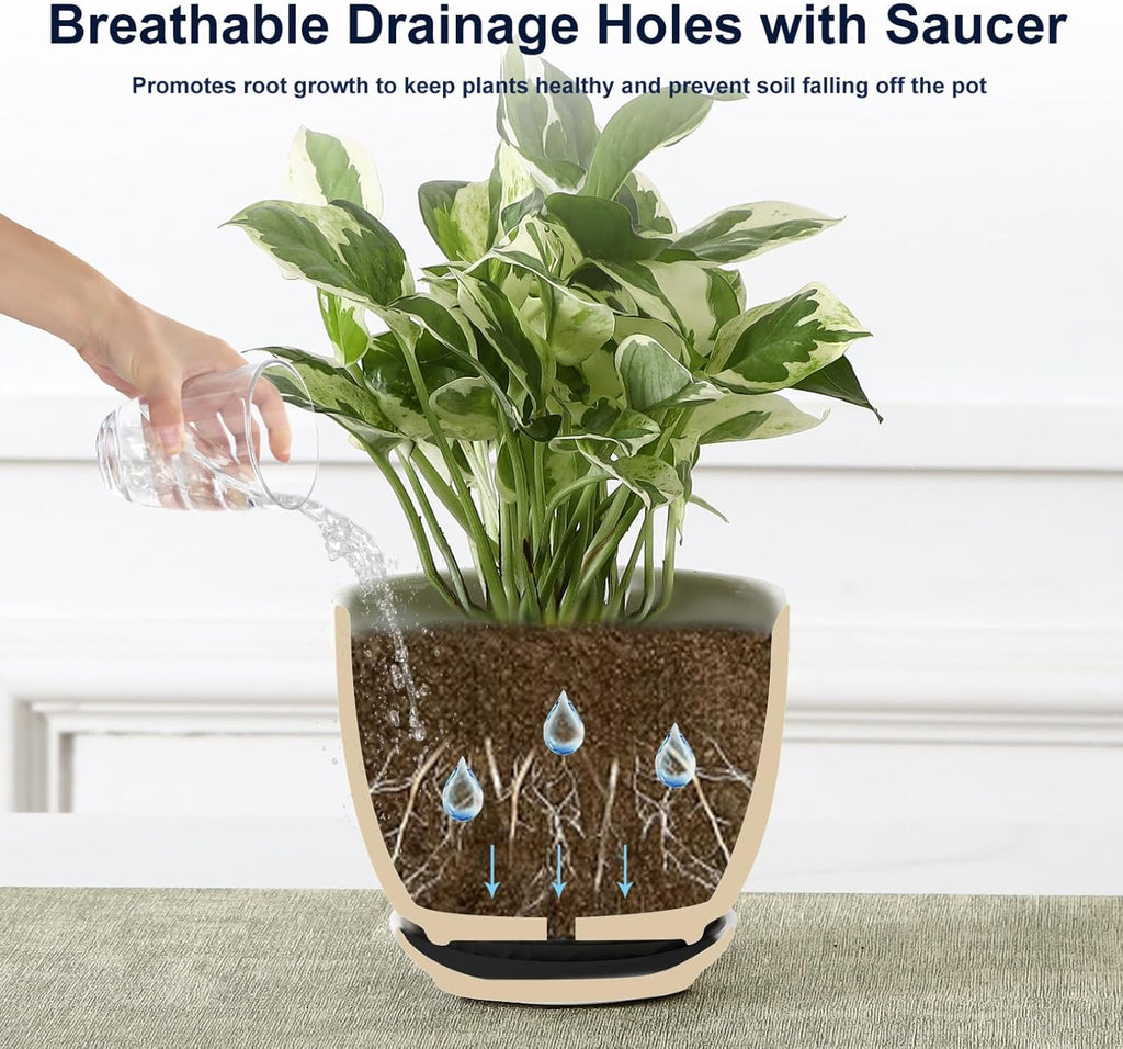 Sureasy Ceramic Indoor Plant Pots - 5.6 Inch Flower Pots for Plants with Drainage Hole and Saucer, Embossed Planter for