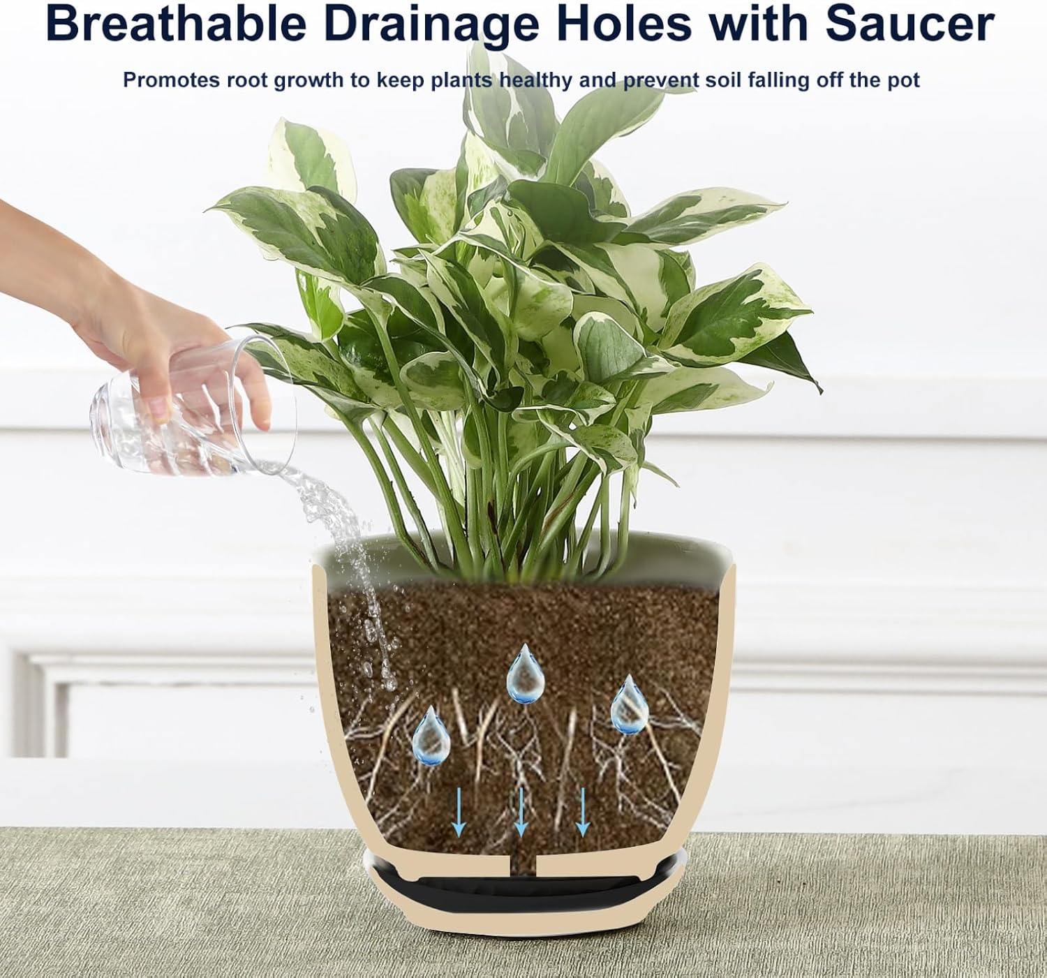 Sureasy Ceramic Indoor Plant Pots - 5.6 Inch Flower Pots for Plants with Drainage Hole and Saucer, Embossed Planter for
