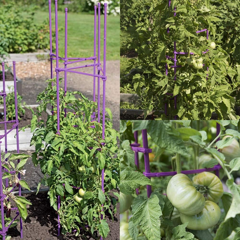 Tomato Cage 5ft 6-Pack Large Tall Tomato Cages Tomato Stakes Plants Supports Garden Stakes,40 Clips and Plant Ties