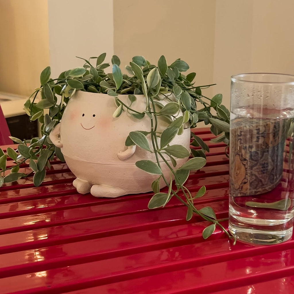 NINIPAPA Self Watering Plant Pot 4 Inch Cute Smile Face Planter Pot for Indoor Outdoor Plants with Drainage Hole Unique