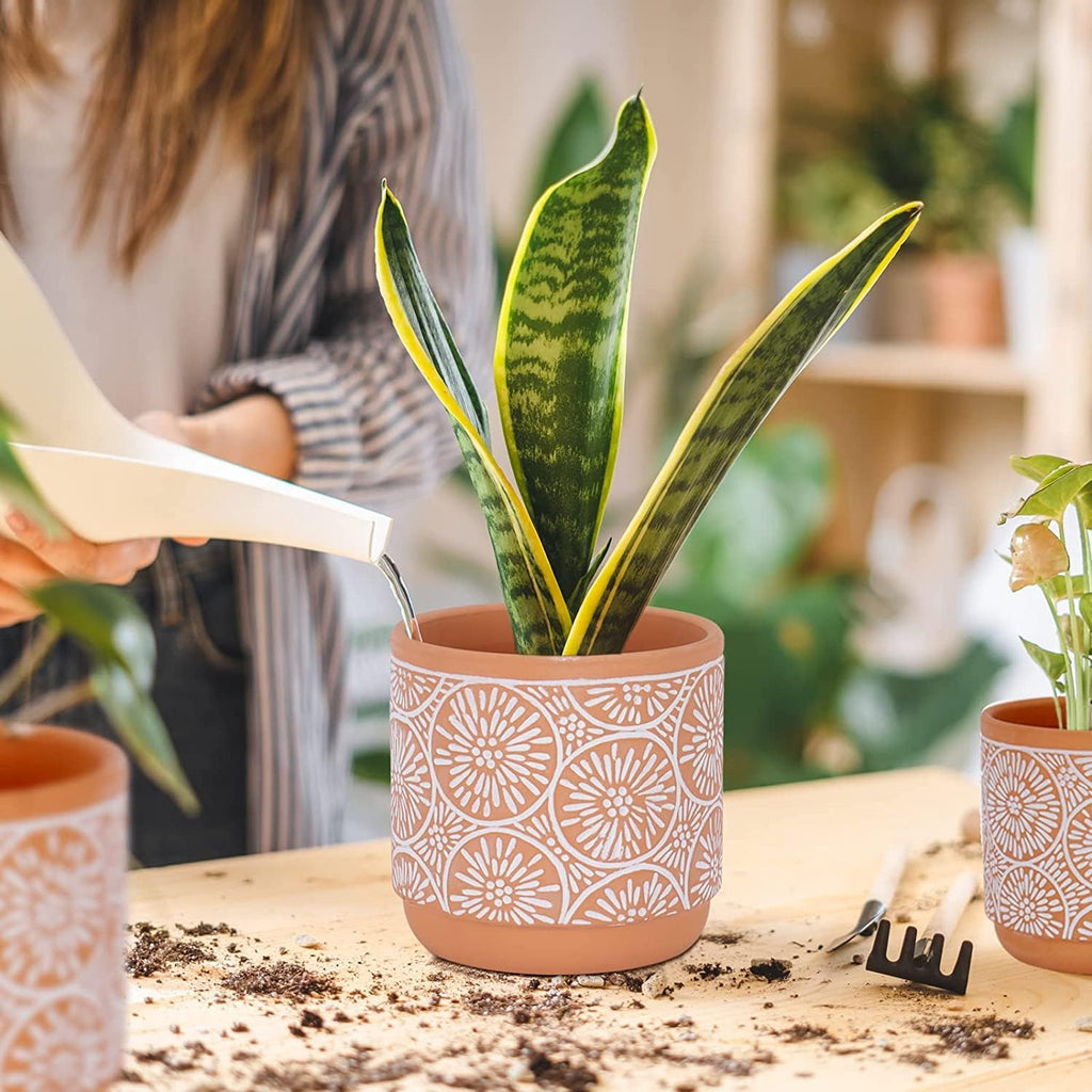 DeeCoo 3 Piece Ceramic Plant pots Indoor Flower Pots Set with Drainage Holes, 5.7/4.7/3.5/inch, Modern Decorative