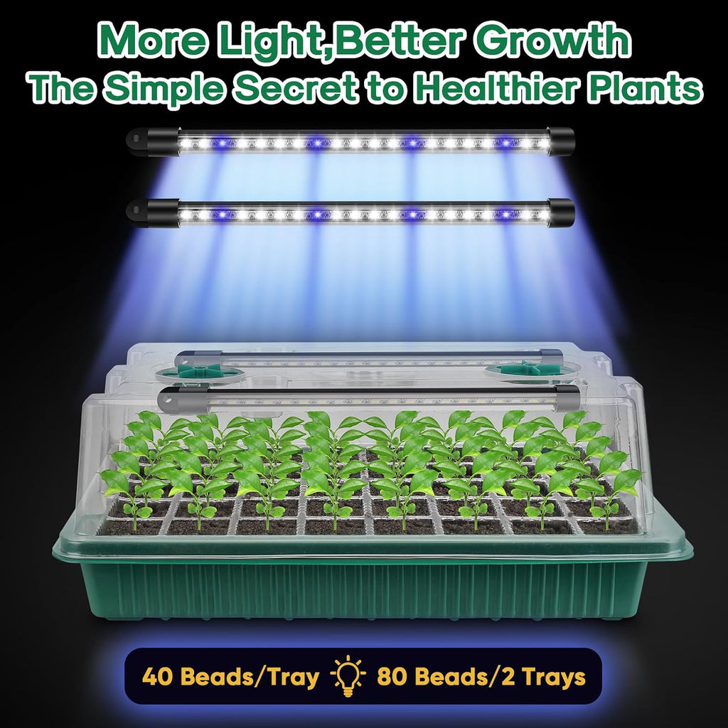 Seed Starter Tray with Grow Light, Humidity Dome, 2 Pack 80 Cells | Seedling Tray Kit with Vented Dome & Drainage
