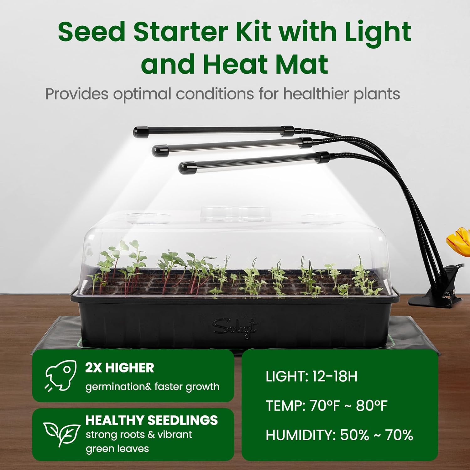 SOLIGT 60 Cell Seed Starter Tray Kit with Grow Light and Heat Mat | Seed Starter Tray, Higher 4.3” Humidity Dome