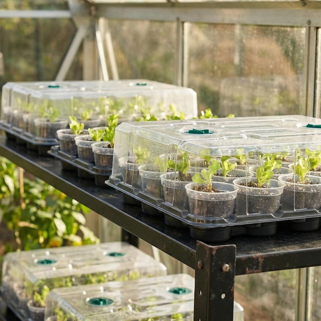 4 Pack 20 Cell Seed Starting Trays with 4 Vented Humidity Domes | Compatible with standard 3 inch nursery pots. Thick