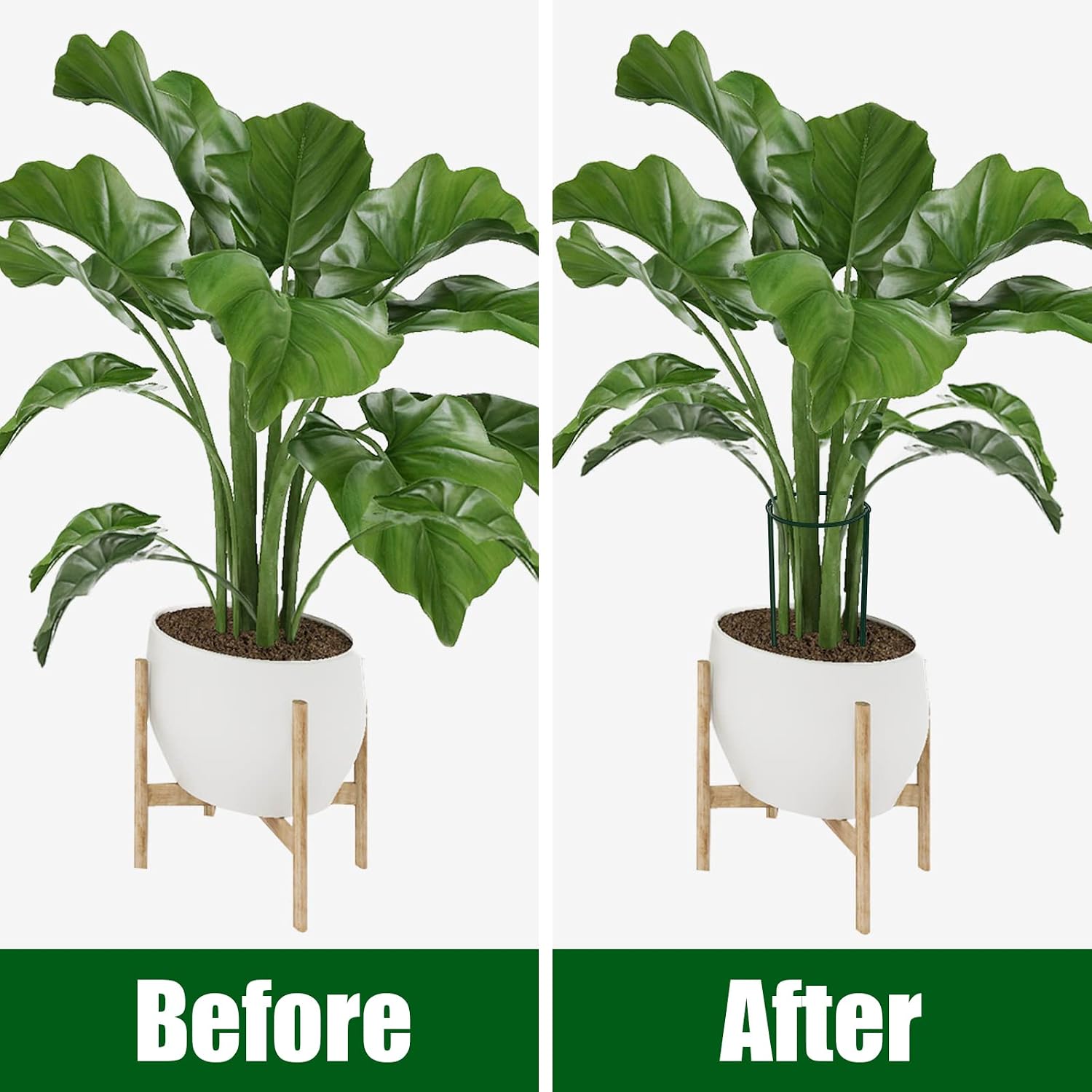 12 Pack Plant Support Stakes, Peony Cages and Supports, Metal Garden Plant Stake(10" Wide x 16" High) Green Half Round