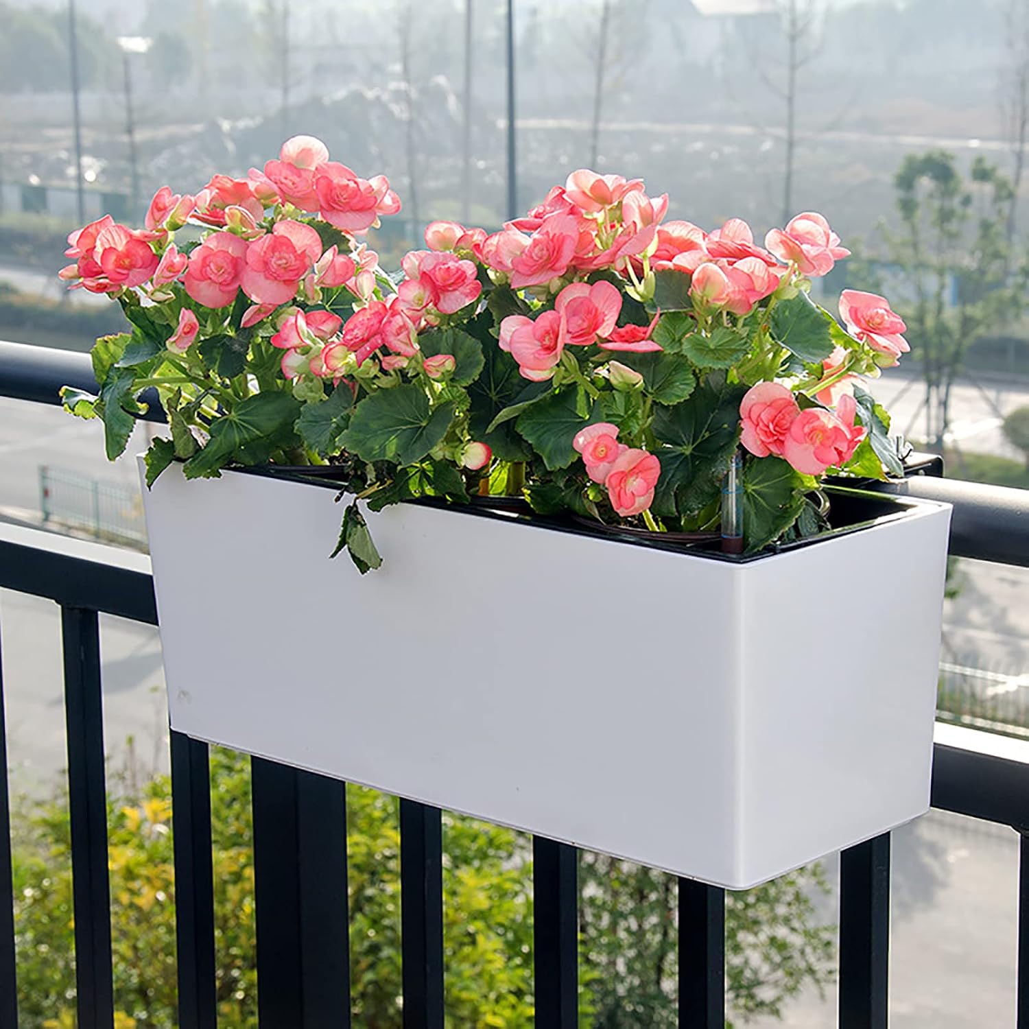 Fasmov 2 Pack Rectangle Self Watering Planter with Water Level Indicator, 16x 5.5 Inch Window Gardening Box, Decorative