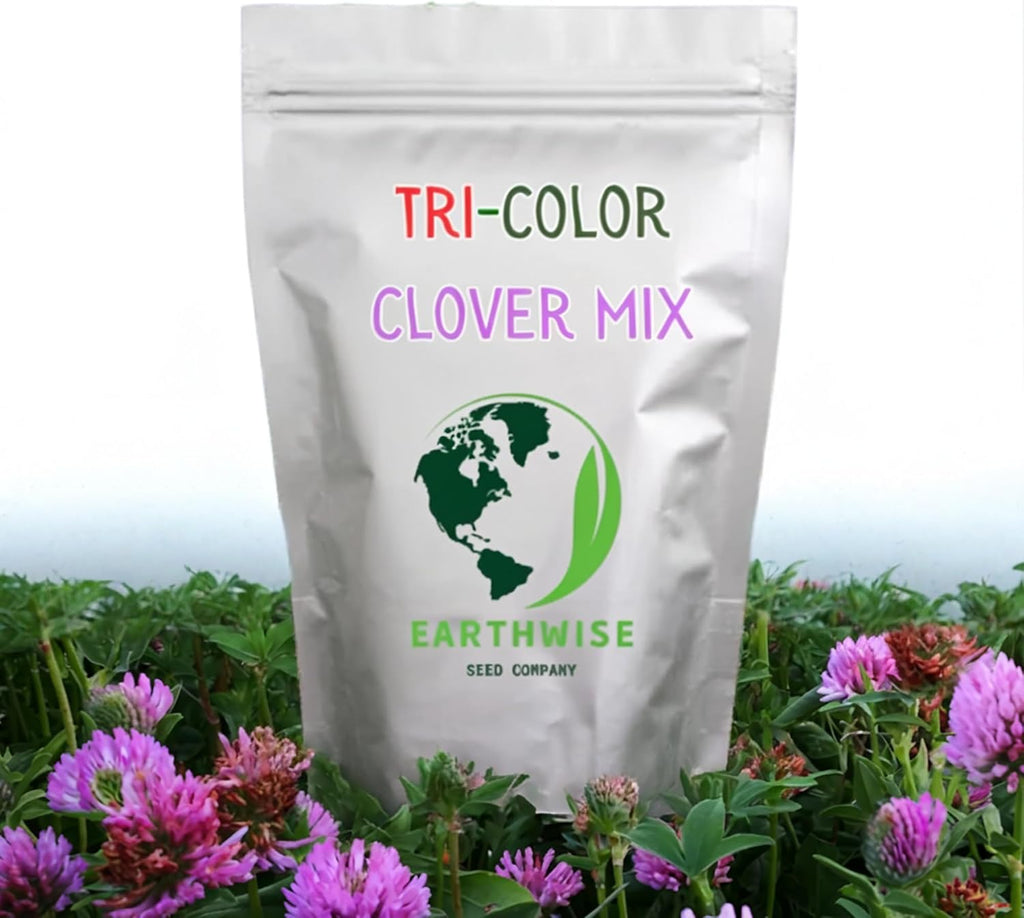 Earthwise Tri-Clover Alternative Lawn Seed - 5 lb, 10,000 sq ft | White Dutch, Crimson Red Clover, Non-GMO Seed, No