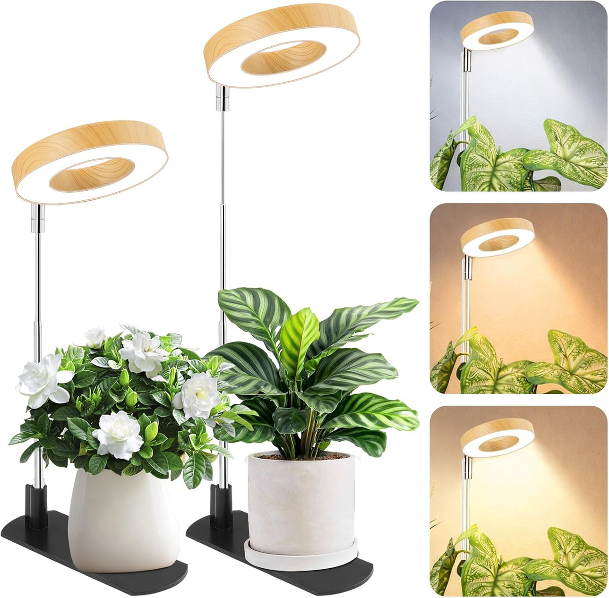 LBW Grow Lights for Indoor Plants, Full Spectrum Halo Grow Light with Base