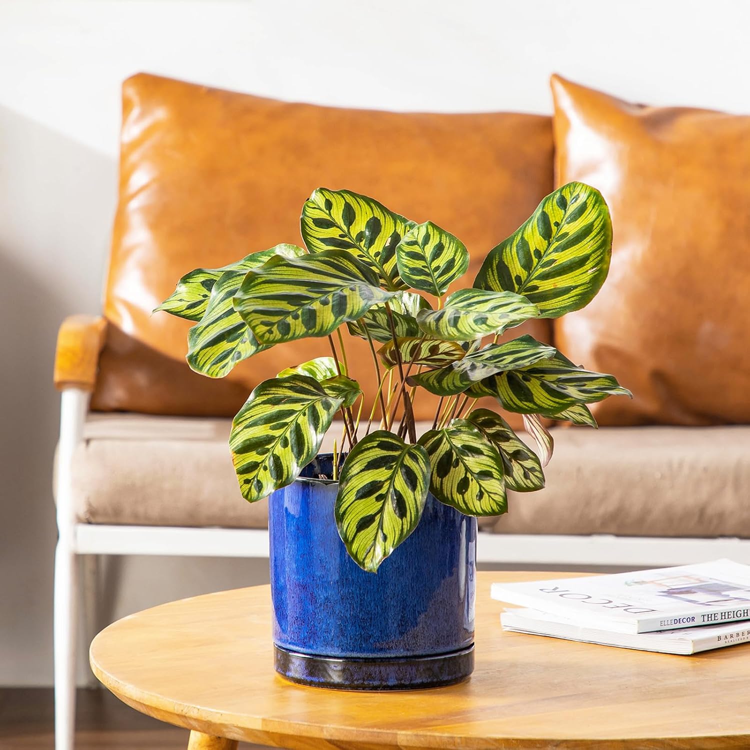 vancasso Ceramic Plant Pots, 3 Piece Planters for Indoor Plants, Blue | 4.25+5.25+6.25 Inch Flower Pots with Drainage