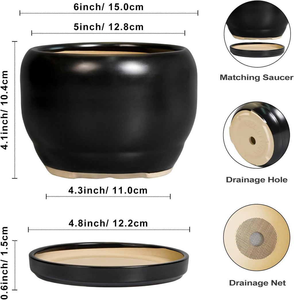 SQOWL Ceramic Plant Pot - 6 Inch Planter for Indoor Plants, Round Flower Pot with Drainage Hole and Saucer, Modern