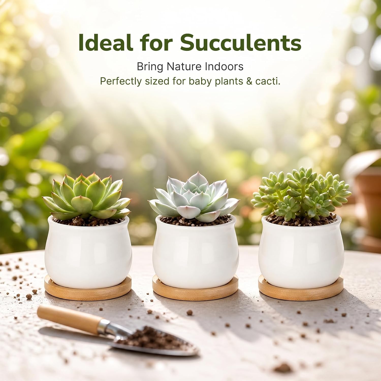 ZOUTOG 12 Pack Succulent Pots, 2.6 Inch Mini Ceramic Pots for Flower or Cactus Plants with Drainage Hole,Plants Not