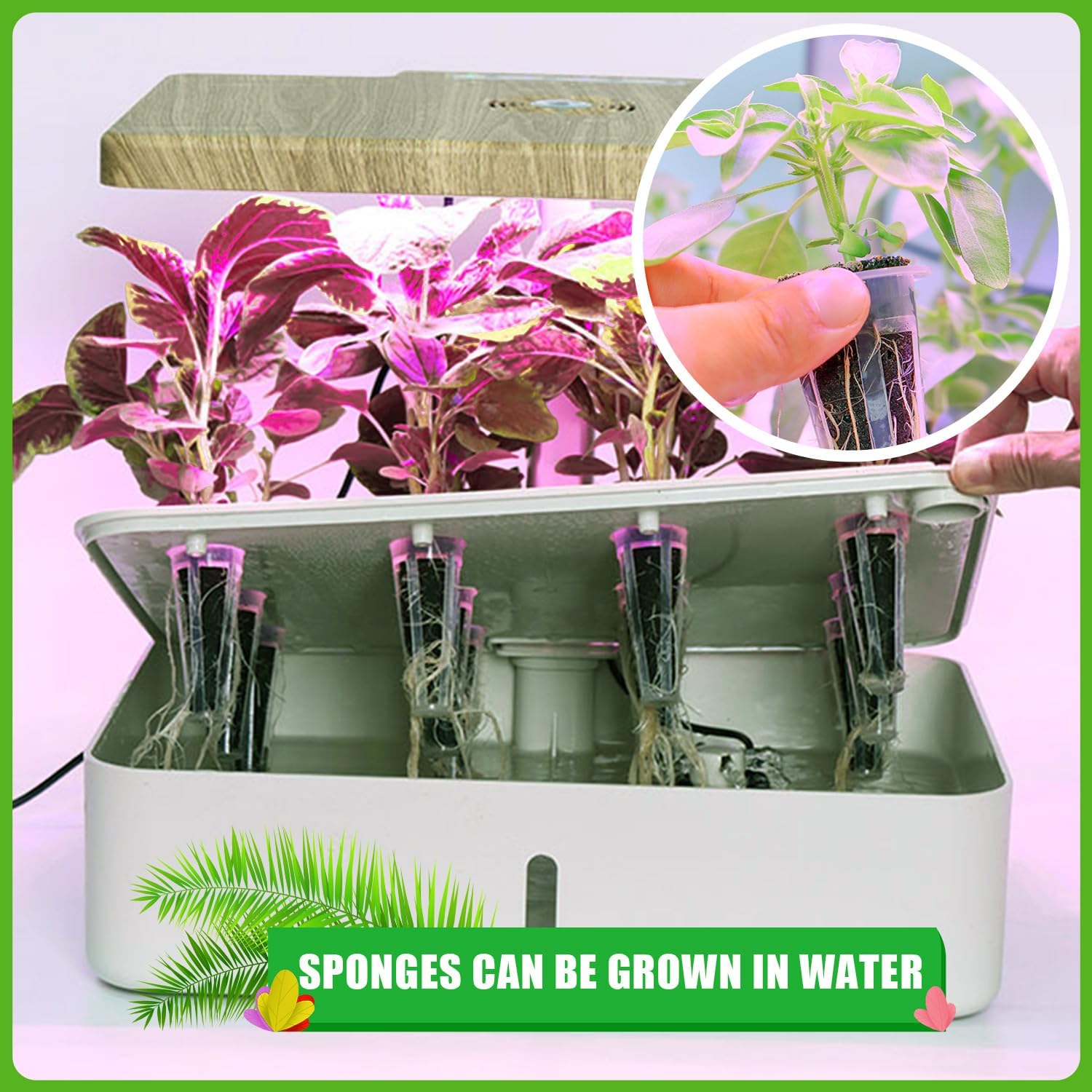 200 Pack Hydroponic Grow Sponges, Seed Pods Replacement | Grow Sponges for Greenhouses & Germination Equipment, Starter