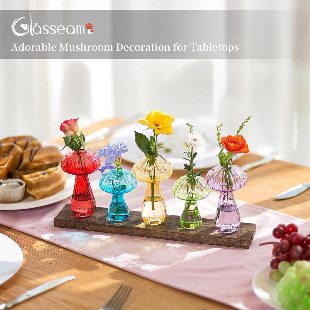 Glasseam Mushroom Propagation Station, Glass Plant Terrarium Jars with Tray | Colorful Small Hydroponic Planter, Pothos