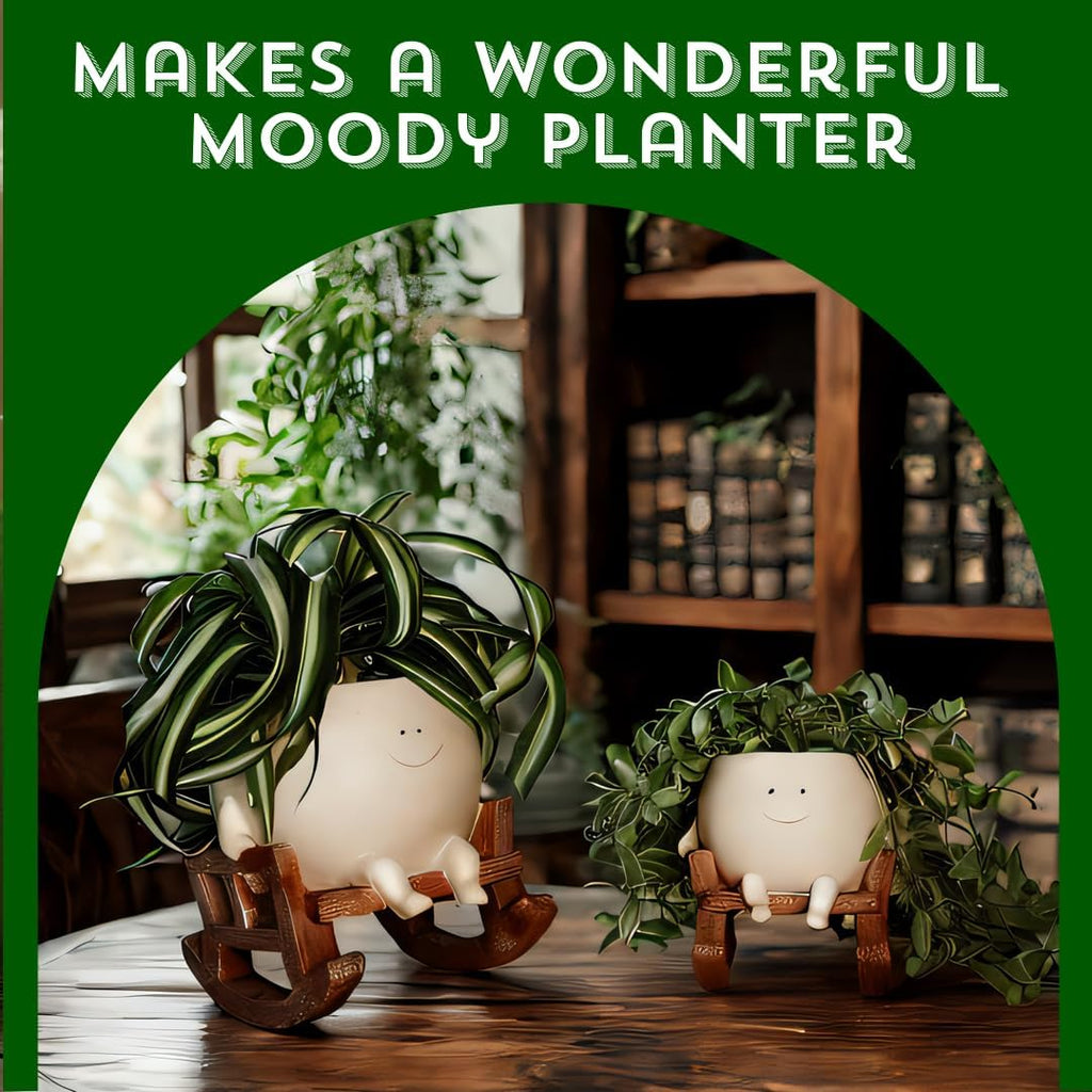 Large Smily Face Planter Pot Cute Smile Flower Planter for Indoor Outdoor, Resin Rocking Chair with Drainage Hole