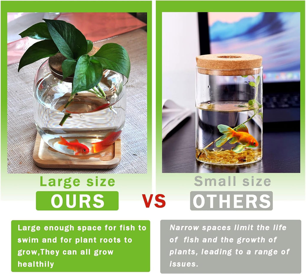 Betta Fish Bowl Glass Small Fish Tank with Bamboo Stand, Plant Propagation Station Hydroponic Terrarium with Lid beta