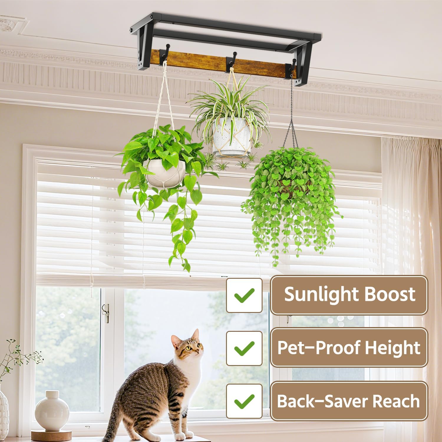 LASZOLA Plant Hanger Holder Shelf Indoor Window Wall Mount, 2 Pack Brown | Plant Hanging Rod with 6 Heavy Duty Hanging