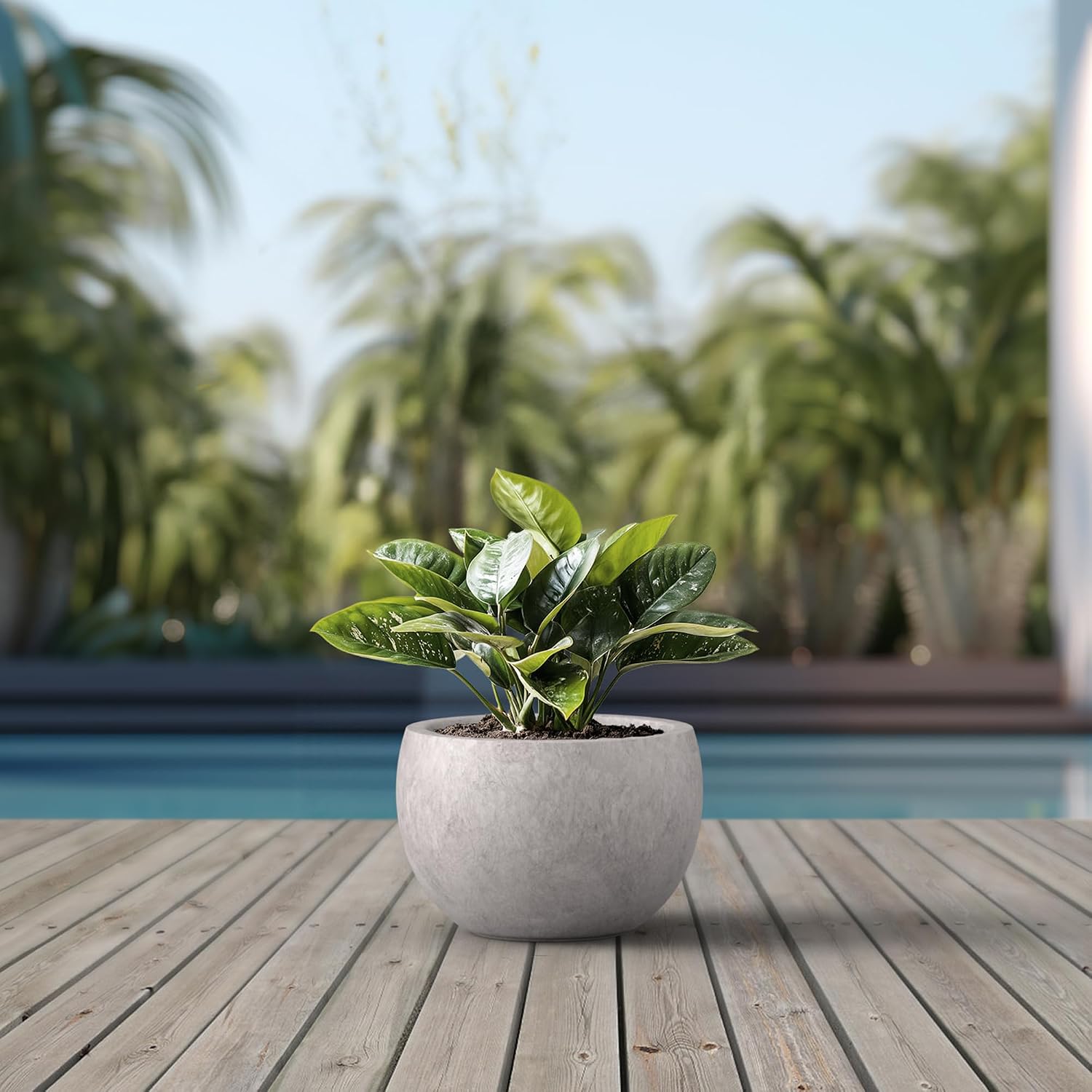 Kante Large Round Bowl CON Gray Concrete Planter 19.9" Dia, Outdoor | Rubber Plug for Indoor, Drainage for Garden