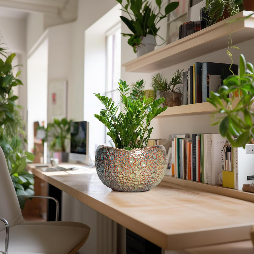 10 Inch Plant Pot - Ceramic Planter with Drainage Hole and Plug, Unique Round Planters for Indoor Outdoor Plants