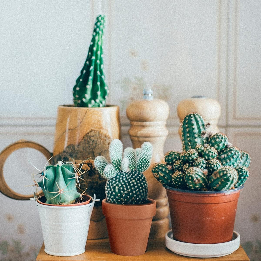Sderoq 3 Inch Terracotta Pots - 22Pack Clay Flower Pots with Drainage Hole, Succulent Nursery Pot/Cactus Plant Pot.