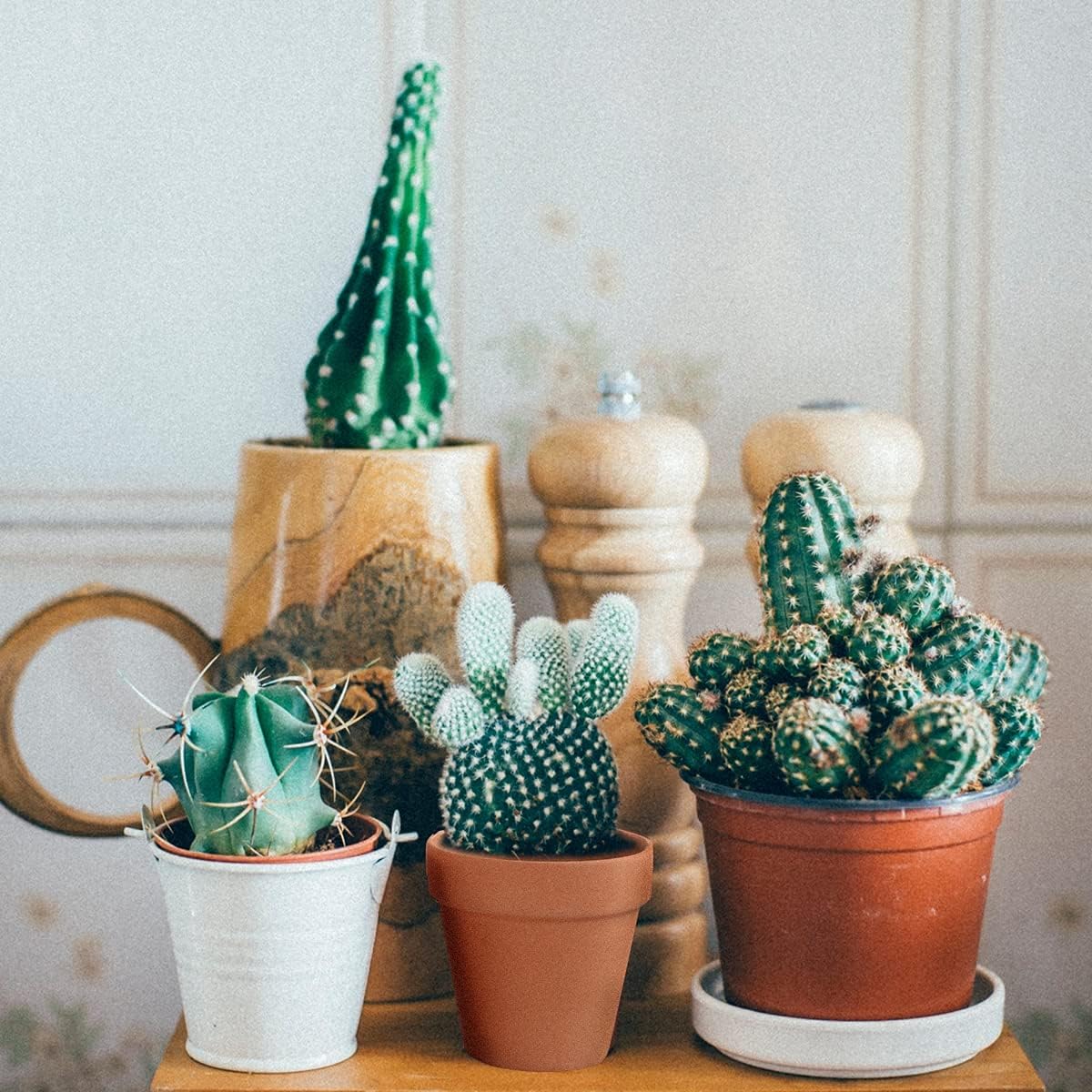 Sderoq 3 Inch Terracotta Pots - 22Pack Clay Flower Pots with Drainage Hole, Succulent Nursery Pot/Cactus Plant Pot.