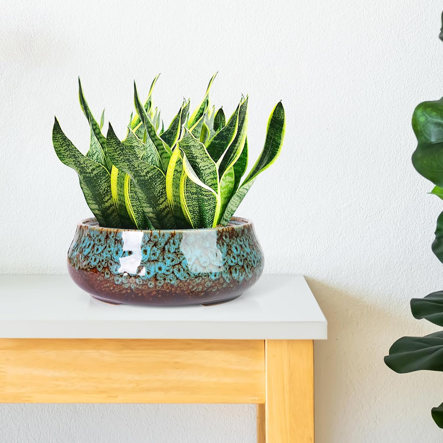 ARTKETTY Succulent Pots, 8 Inch Plant Pots Large Bonsai Pots with Drainage | Ceramic Shallow Planters for Indoor