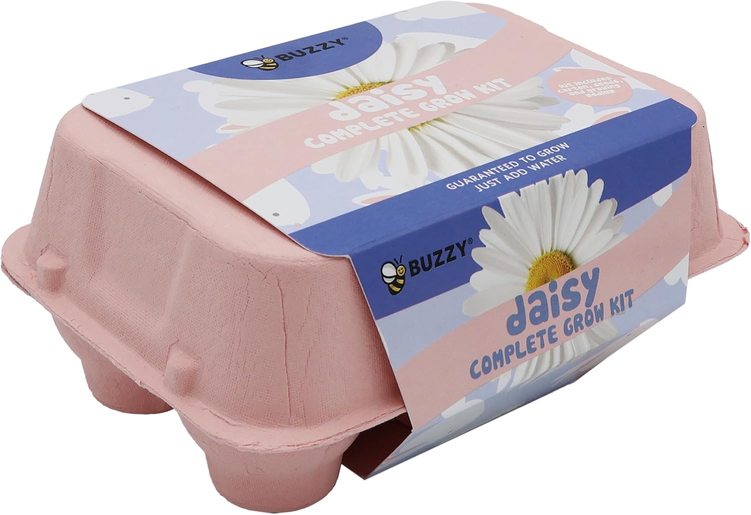 Buzzy Seeds Flower Starter Kit 2-Pack - Egg Carton Eco-Friendly Pots - Complete Indoor Gardening Kit with Seeds