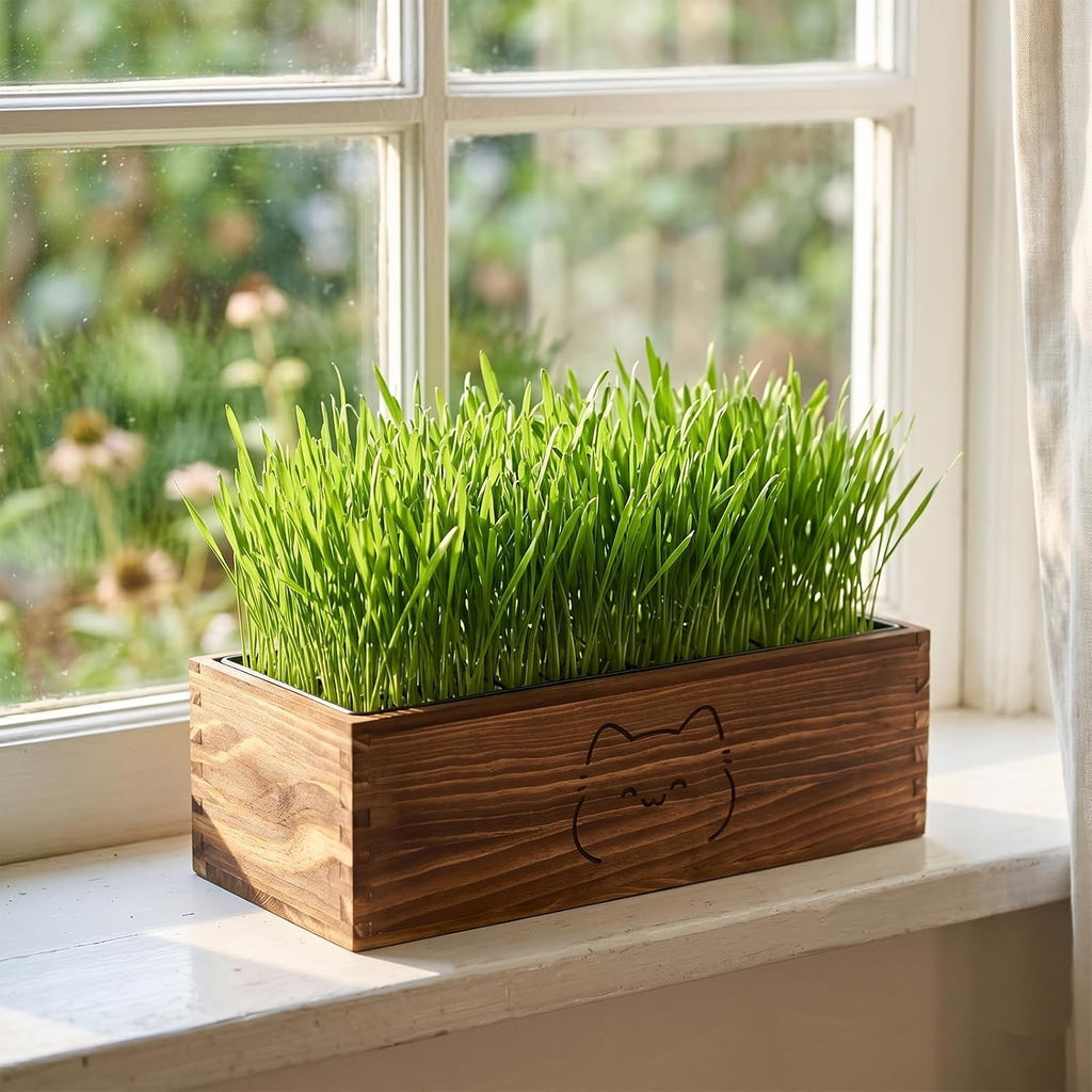 Wooden Cat Grass Planter (no Seeds Included),Cat Grass Kit for Indoor Cats with Anti-Digging Grid, Potting Soil