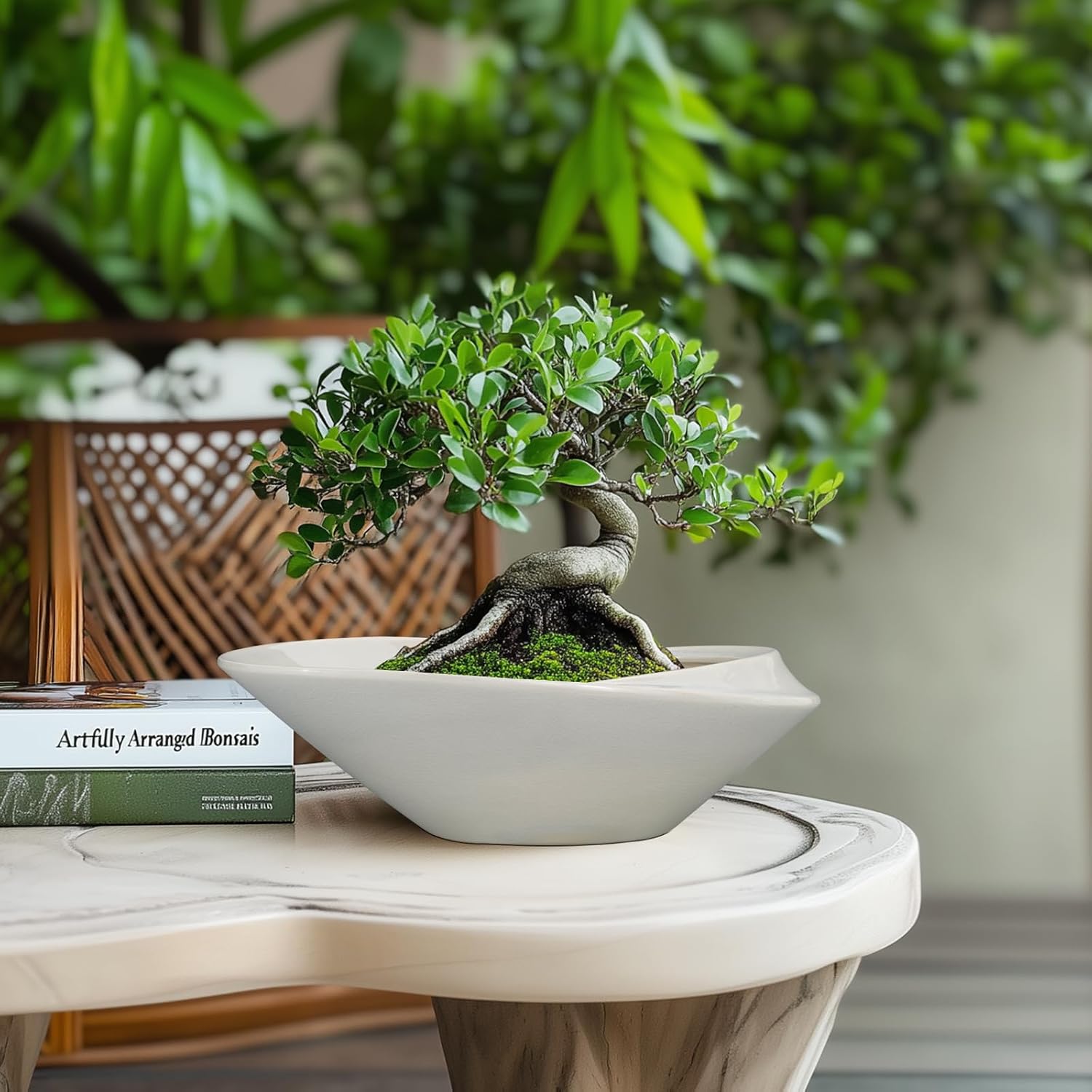 Bonsai Planter Pot - 12 Inch Ceramic Plant Pot for Indoor Plants Outdoor Decorative Flower Pot Succulent Planter with