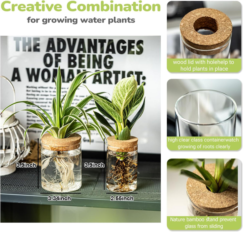 Glass Propagation Stations for Plants -Desktop Flower Vases,Propagation Flower Vases Set – 2 Large & 2 Small for Plant