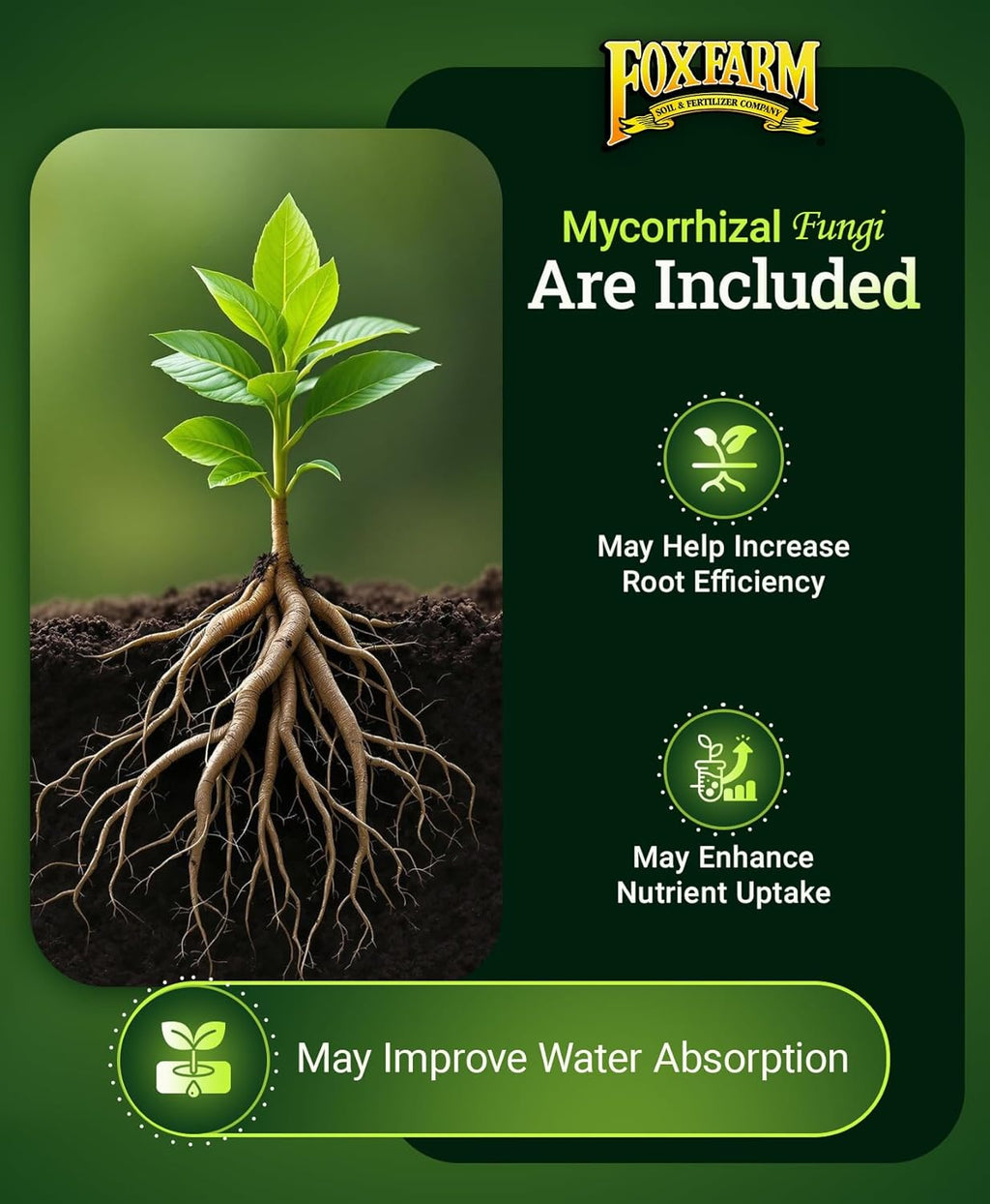 FoxFarm Happy Frog Tomato & Vegetable Fertilizer - Vegetable Fertilizer for Vigorous Feeders, 5-7-3 Blend with Calcium