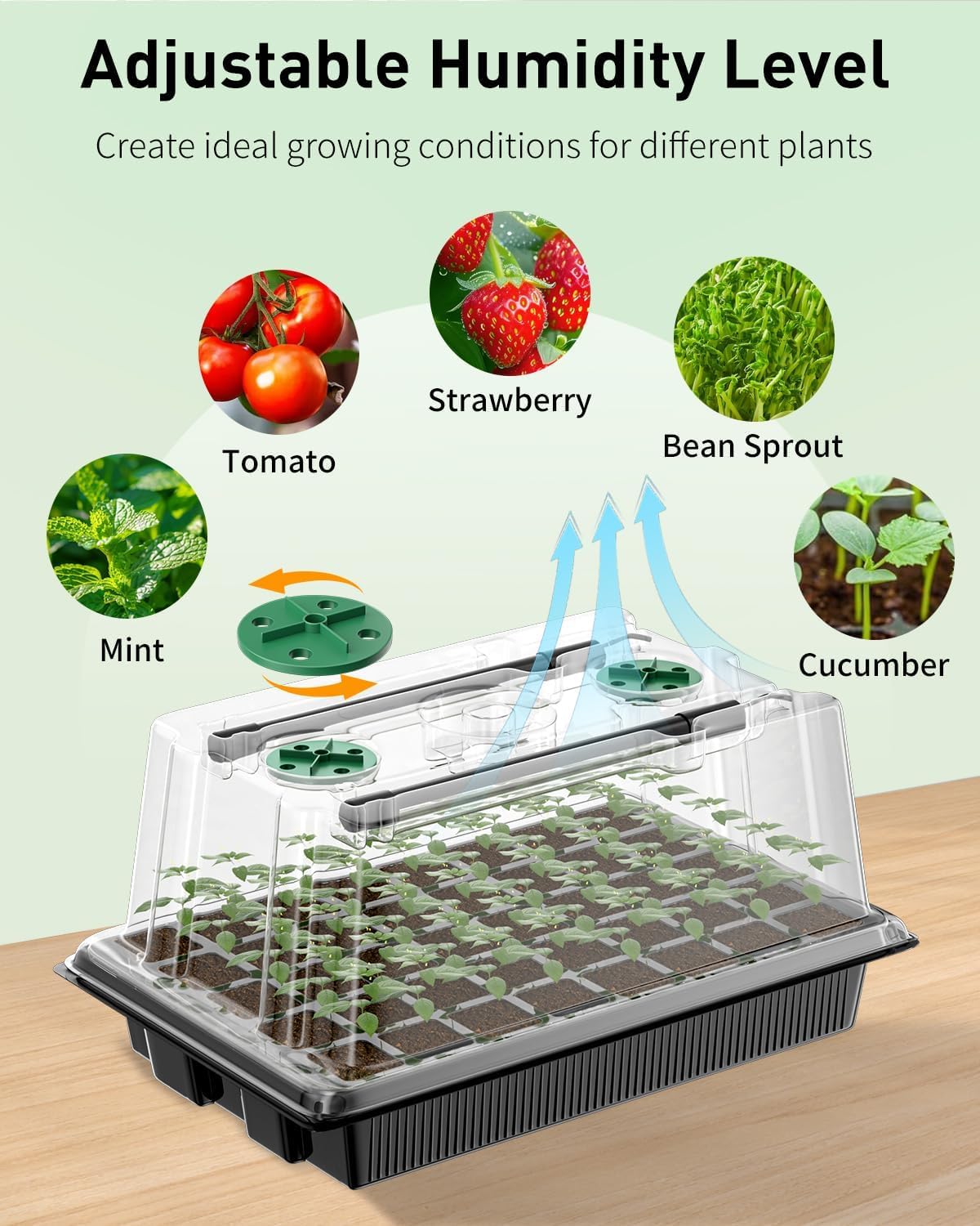 Pawfly Seed Starter Trays, 2 Pack 80 Cells Seed Starter Kit | Adjustable Grow Light Bars & 3.5" Humidity Domes, Seeding