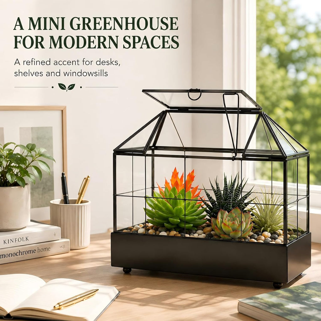 Large Tall Plant Terrarium Glass – Glass Greenhouse Terrarium with Lid and Tray,Indoor Tabletop Orchid Succulent Cacti