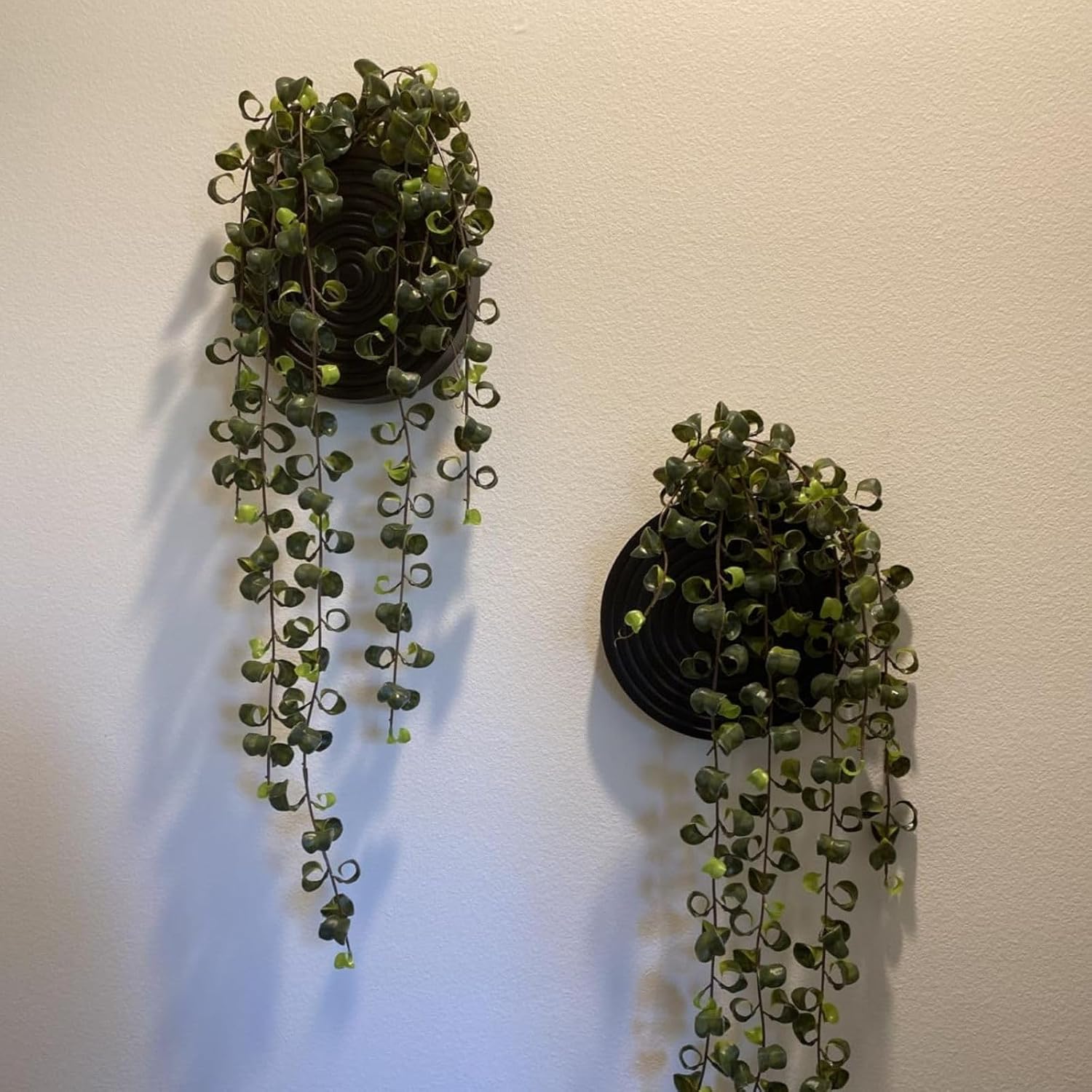 Set of 2 Wall Planter for Indoor Plants, | Black Wall Decor for Living Room, Bathroom,Boho Hanging Planter for