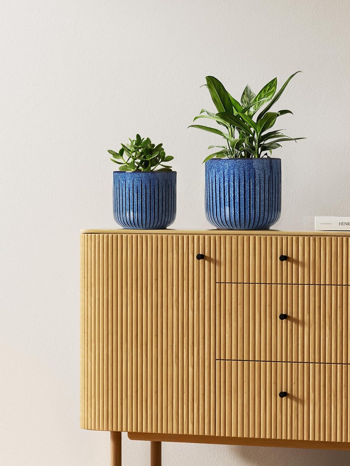 LE TAUCI Ceramic Plant Pots, 8.3/7/6 Inch Indoor Planters with Drainage Holes & Mesh, Modern Glossy Glaze Cylinder