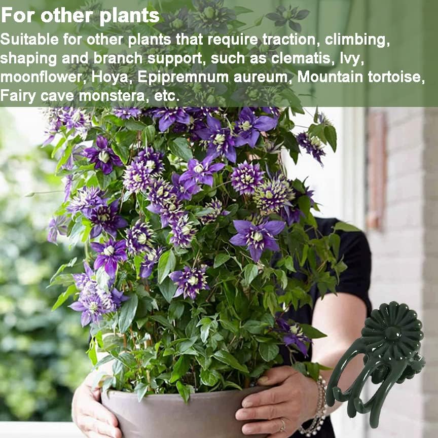 Orchid Clips for Plants Support (100, Green) for Small - Middle Climbing Plants Vine Plants & Single Stem Plants