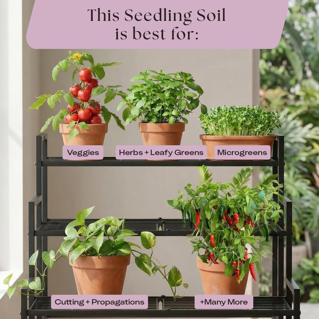 Rosy Soil Seedling Seed Starter Soil Mix, Organic, Peat-Free, 4 Quarts | Worm Castings, Biochar and Mycorrhizae Blend