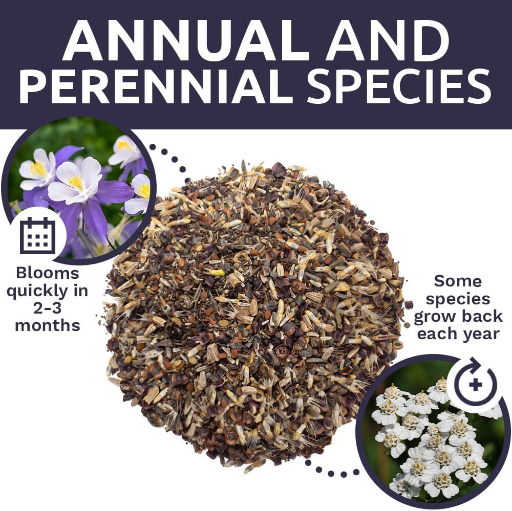 Deer Resistant Wildflower Seed Mixture - Bulk 1/4 Pound Bag - Over 60,000 Deer Tolerant Seeds - Open Pollinated and Non