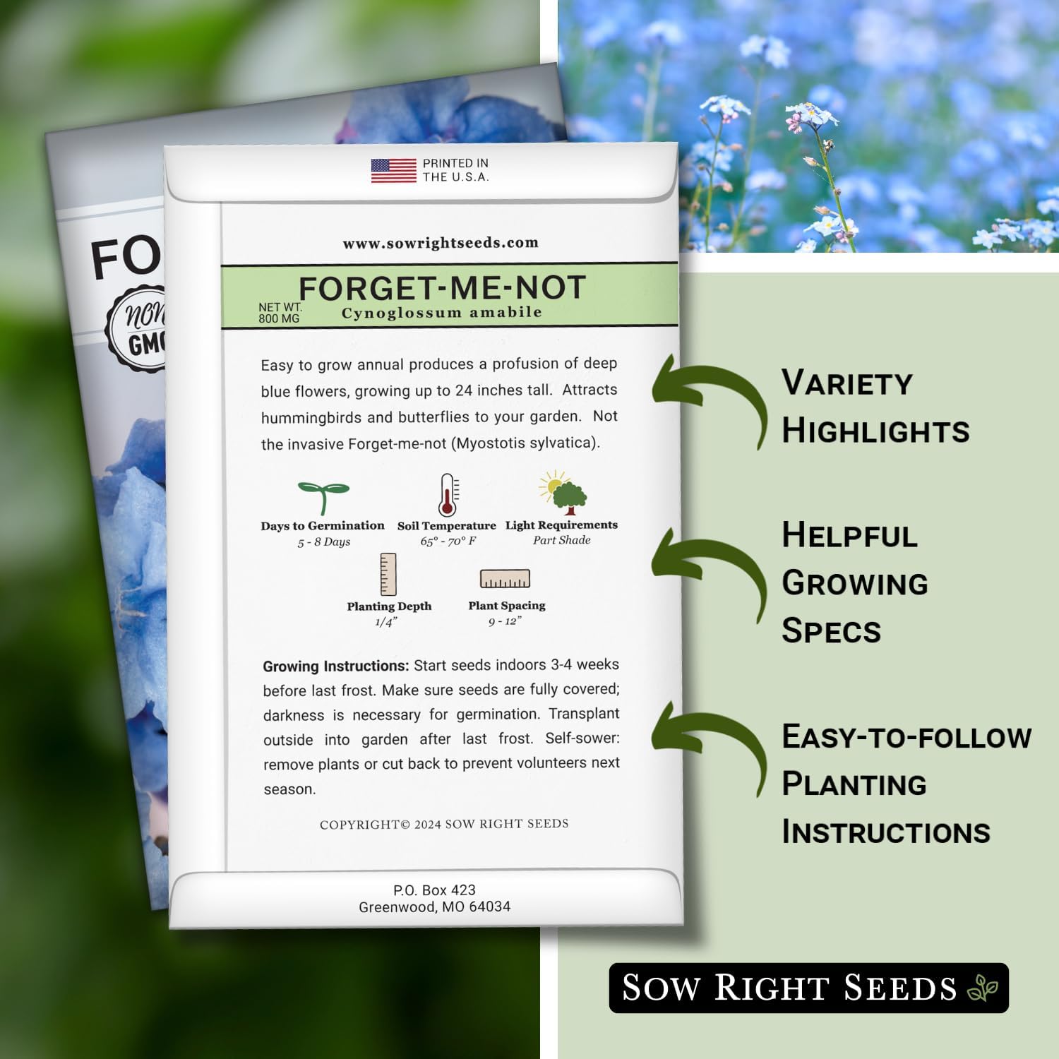 Sow Right Seeds - Chinese Forget-Me-Not Seed for Planting Flowers 25pk | Plant annual non-GMO heirloom for outdoor home