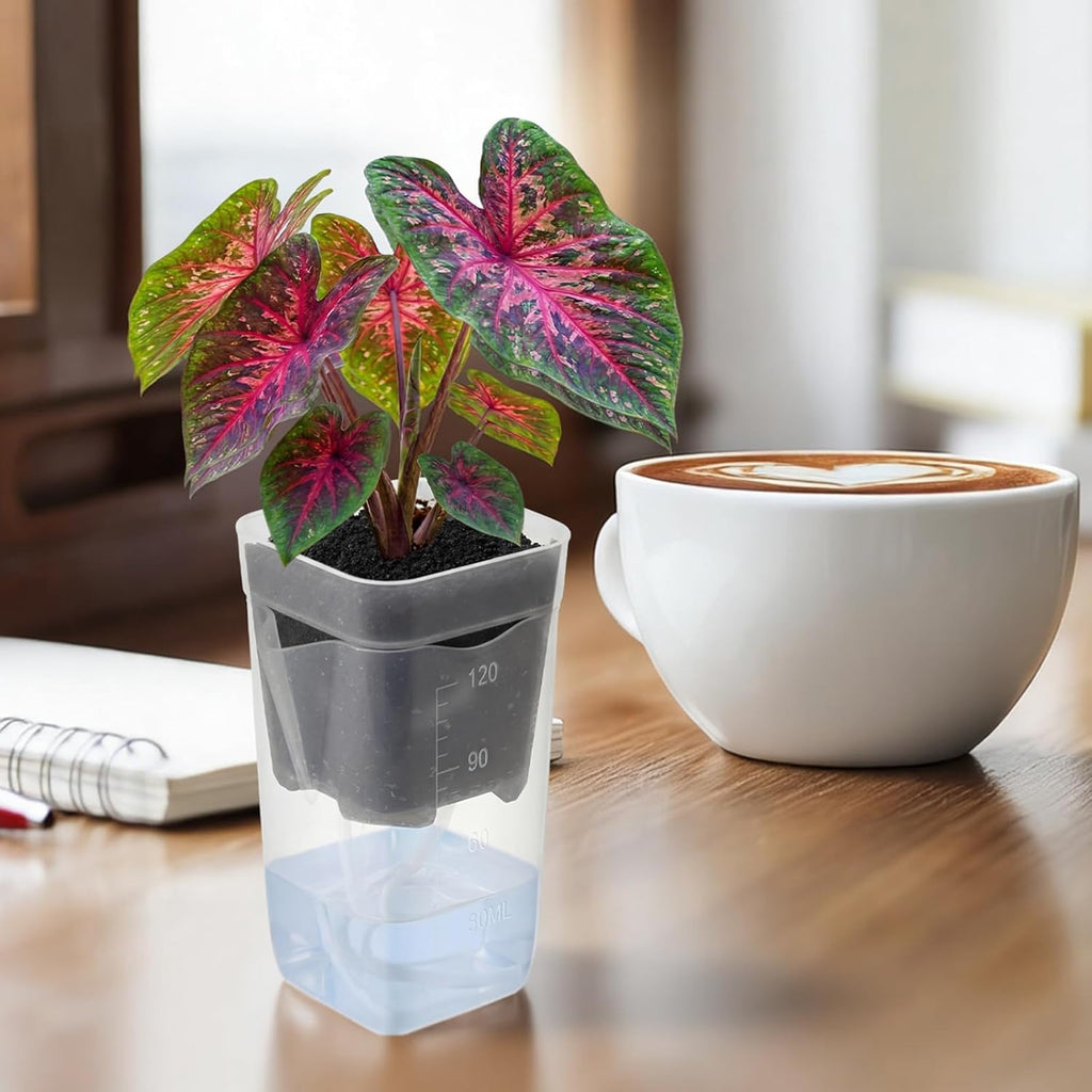 LemonRoad 20 Pack 2" Small Self Watering Pots for Indoor Plants | with 20 Plant Label, Mini Clear Plastic Planters with