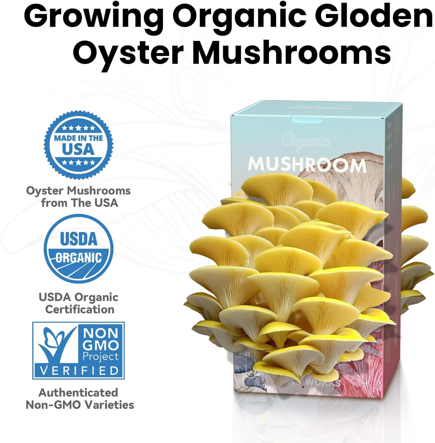 Organic Edible 4lbs Golden Oyster Mushroom Growing Kit, Made in USA, Double-Side Mushroom Grow Kit Indoor, Harvest