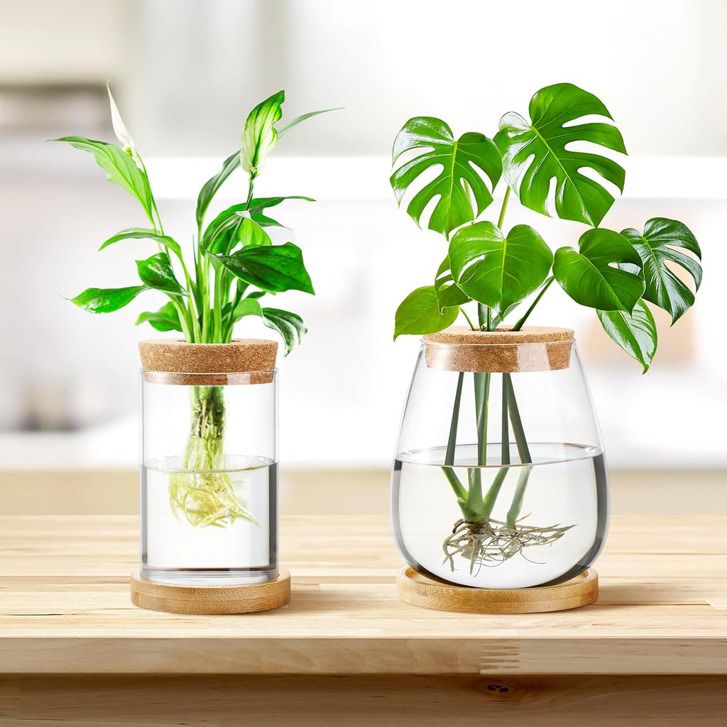 Layhit 4 Pcs Plants Propagation Stations vases Glass Planters with Wooden Lid and Bamboo Stand for Hydroponic Plants