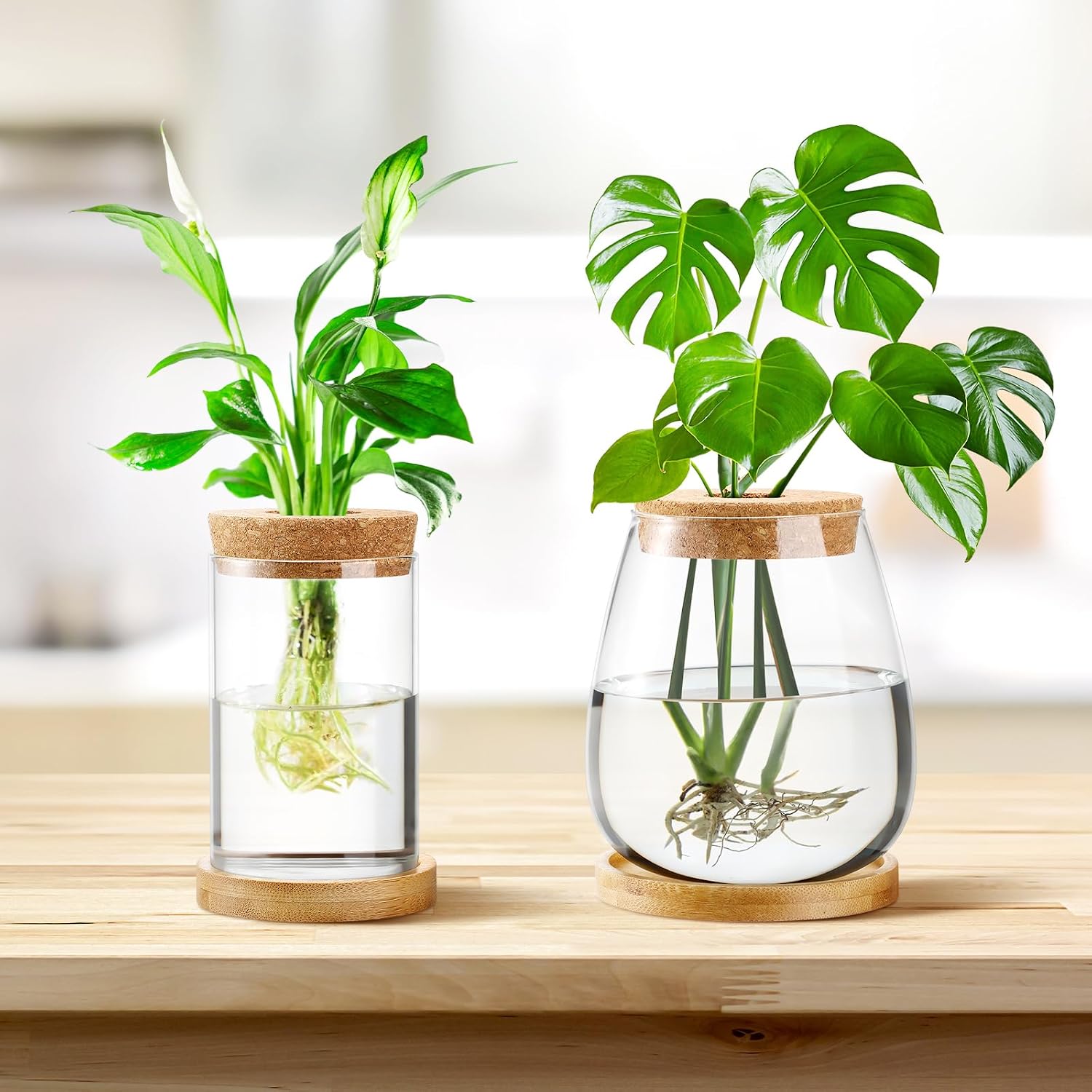 Layhit 4 Pcs Plants Propagation Stations vases Glass Planters with Wooden Lid and Bamboo Stand for Hydroponic Plants