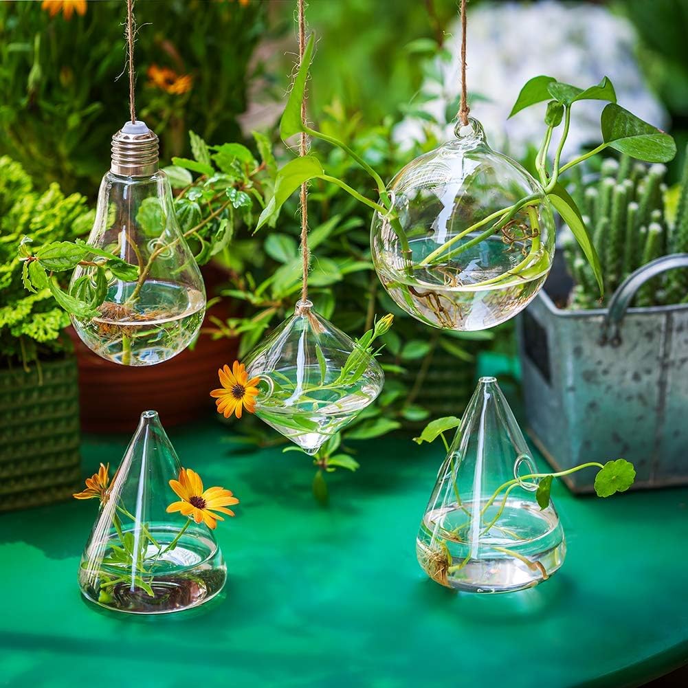 Glasseam Hanging Plant Propagation Station: 5Pcs Small Glass Terrarium Jars | Hydroponic Planters for Indoor Pothos