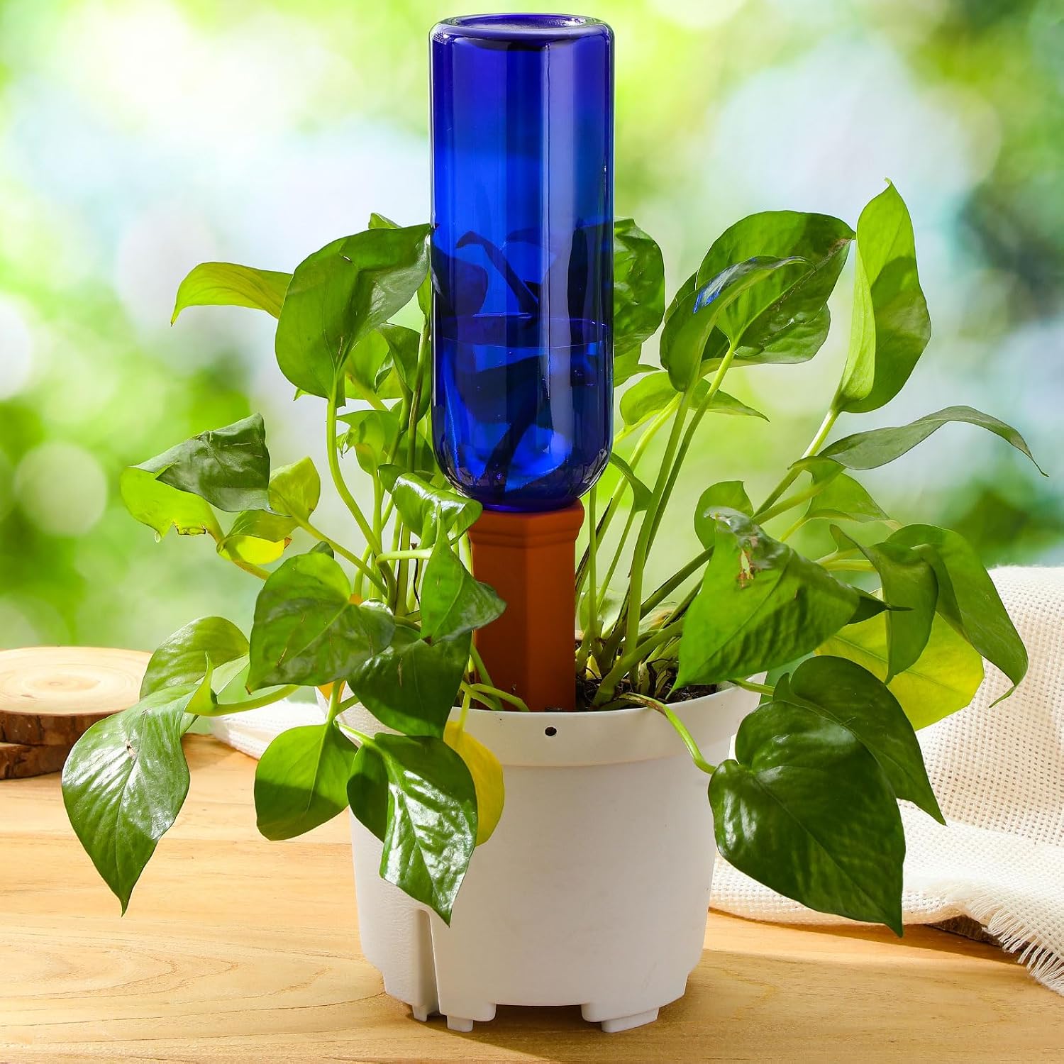 SiliFine 6 Sets Terracotta Watering Spikes,Dark Blue and Terracotta | 26 oz Bottles for Slow Release Watering, Self