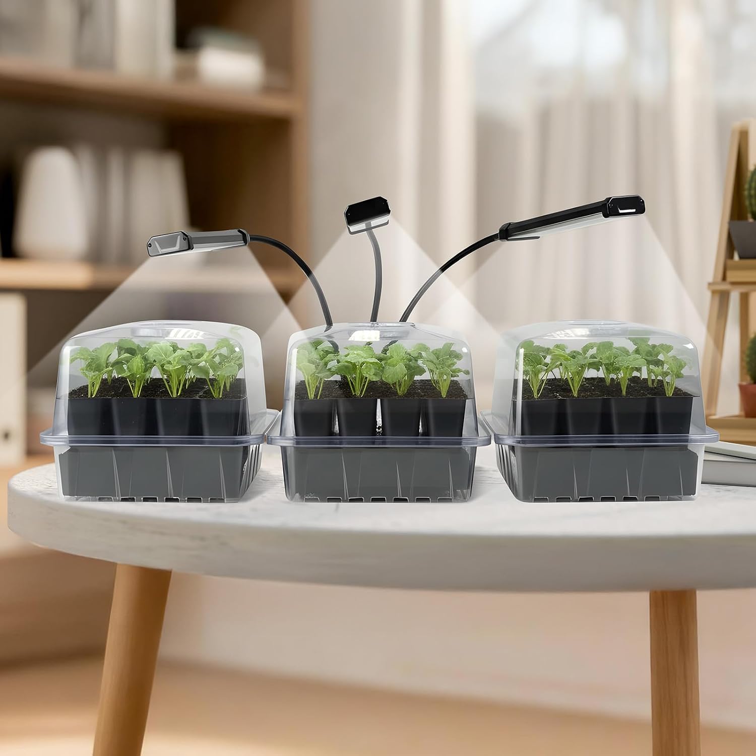 SOLIGT 144 Cell Self Watering Seed Starter Trays with 2 Grow Lights | 6 Seed Starter Kit with Humidity Domes, Full