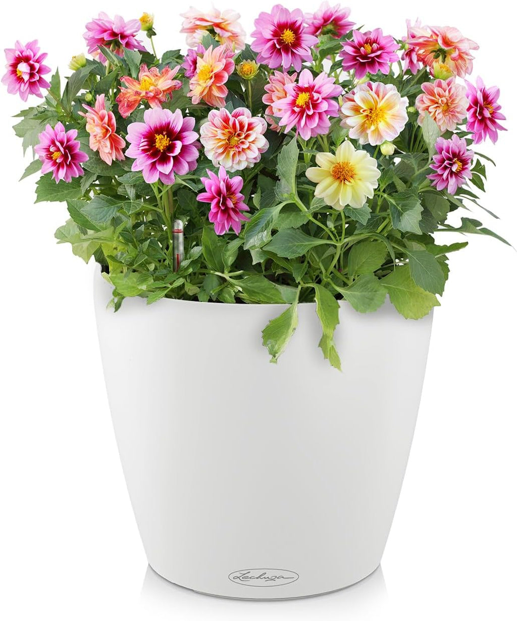 Lechuza Classico Color 28 White, Self-Watering Round Planter, D11 H10.2 in