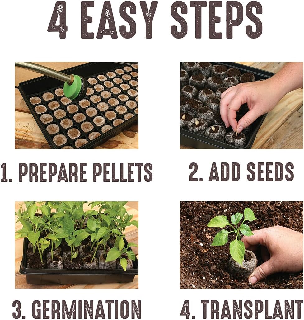 Jiffy Seed Starting Tray Kit - 36 Cell, Bonus 3 Pack, Seeding Starter Kit - 11 x 11 x 4.25 in - Plastic