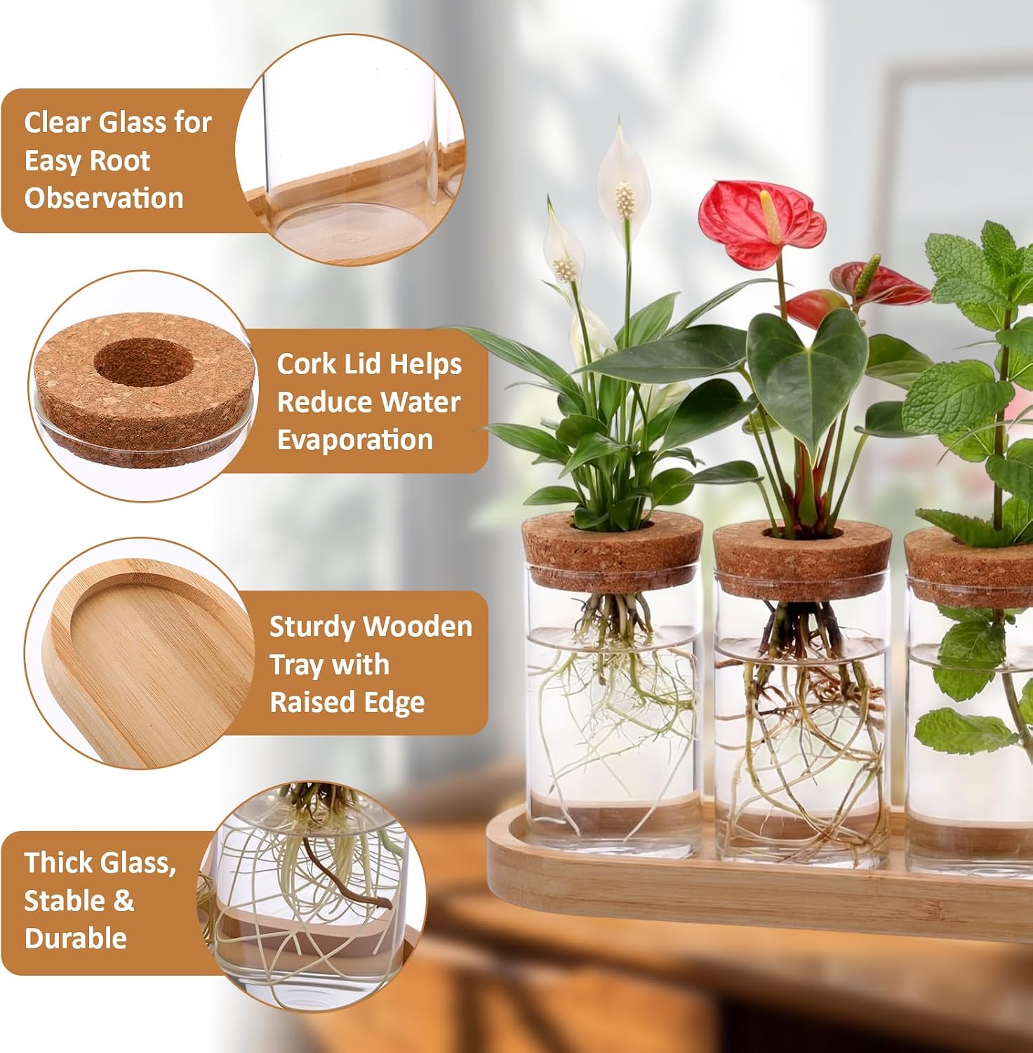 Zhehao 5 Pack Plant Propagation Station Hydroponic Glass Jar Terrarium with Cork Lids Bamboo Tray Desktop Planter for